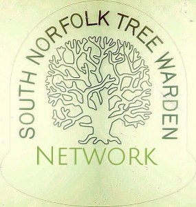 Processed with Snapseed.