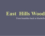 East Hills Wood